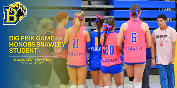 Dig Pink Game honors Brawley student