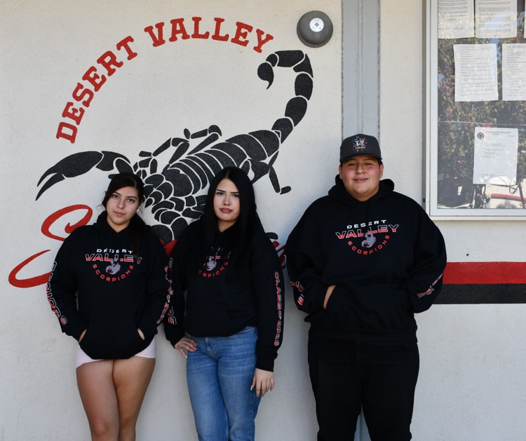 DVHS seniors pose in their new sweaters
