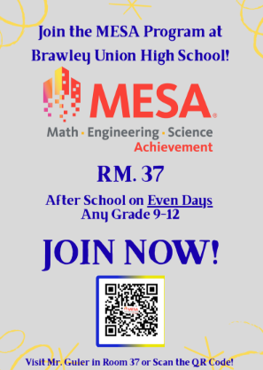 MESA