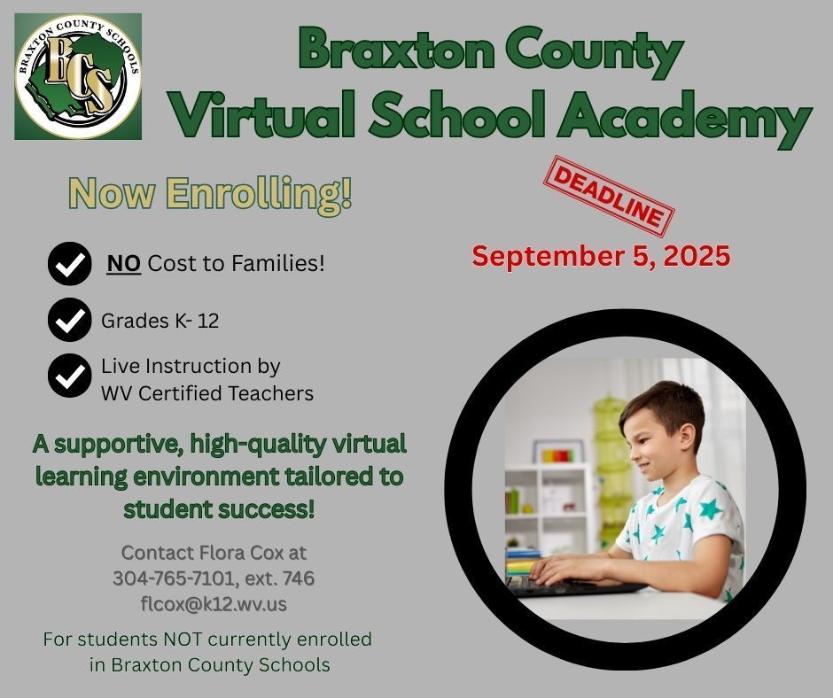 Virtual school