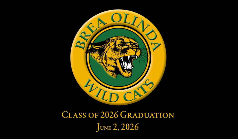 Graduation video promo