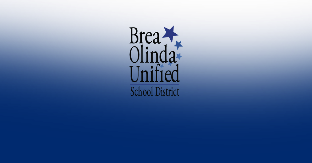 bousd logo on a white background with blue overlay