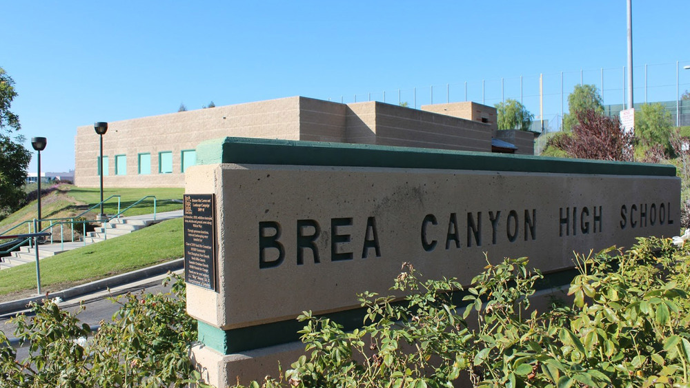 a photo of Brea Canyon High School concrete sign in front of the school. Bushes surround the image