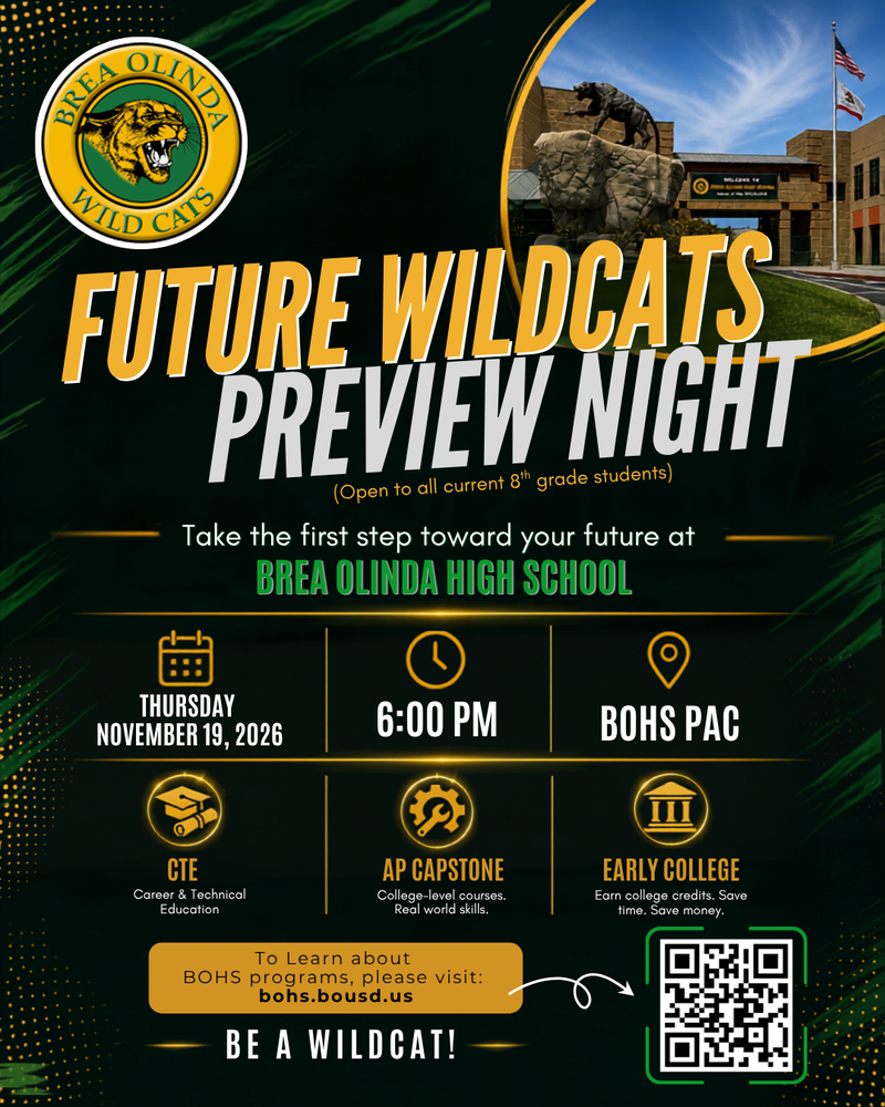 flier