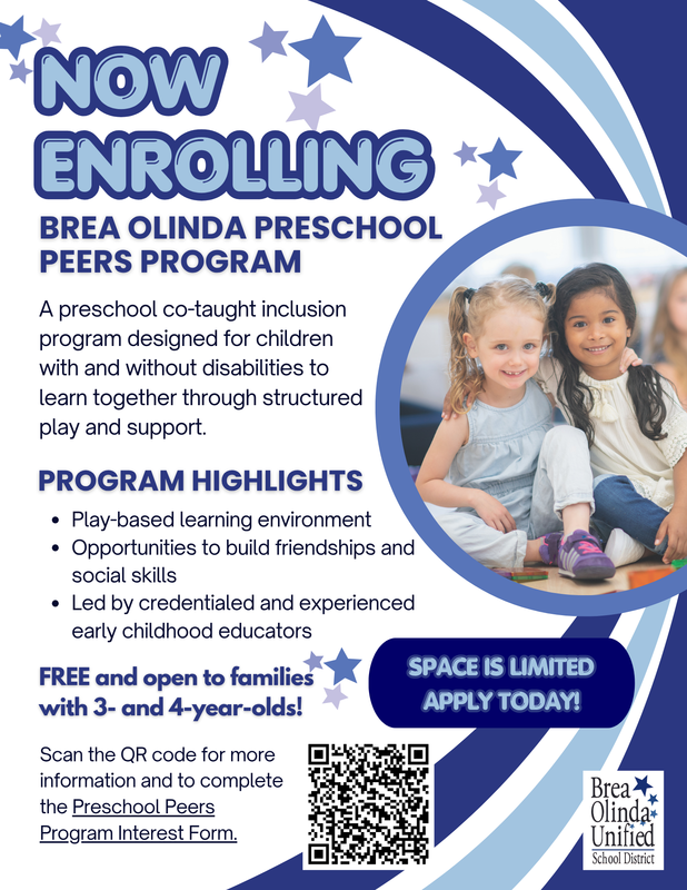 a decorative flyer with information on the Preschool Peers Program