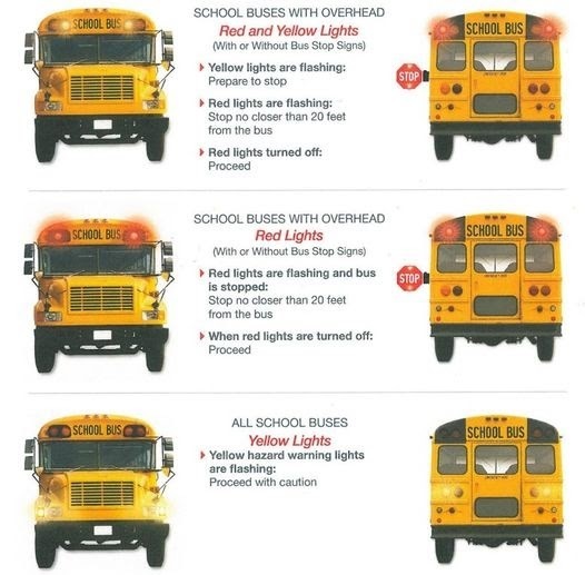 Bus Lights Rules for Red and Yellow
