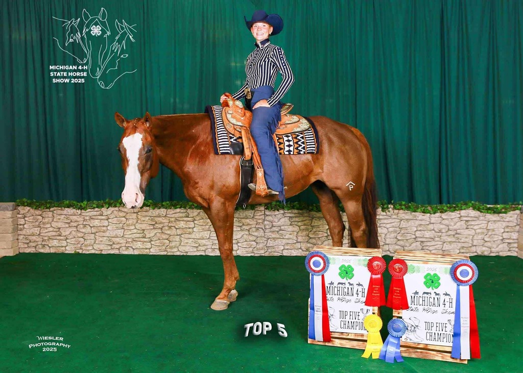 equestrian
