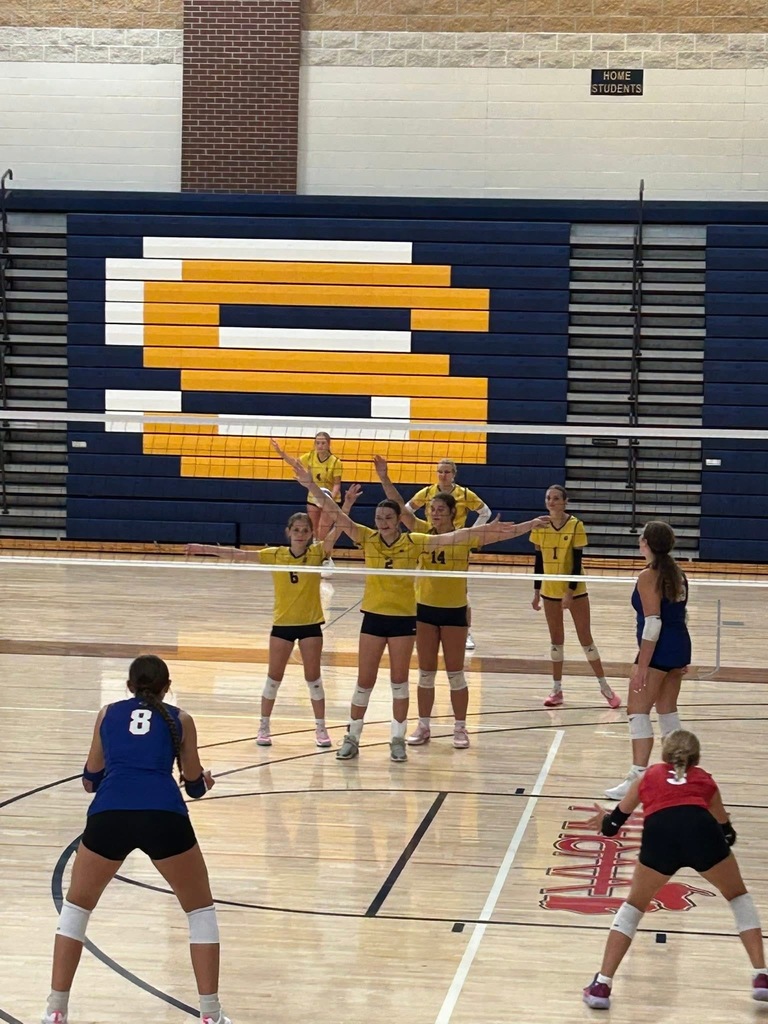 Volleyball