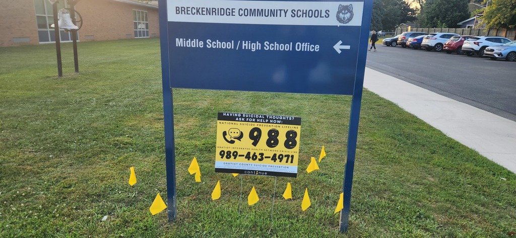 988 Yellow Flags
