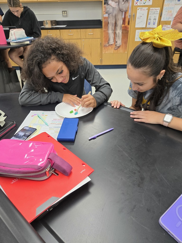Anatomy Class Dissects Gummy Bears