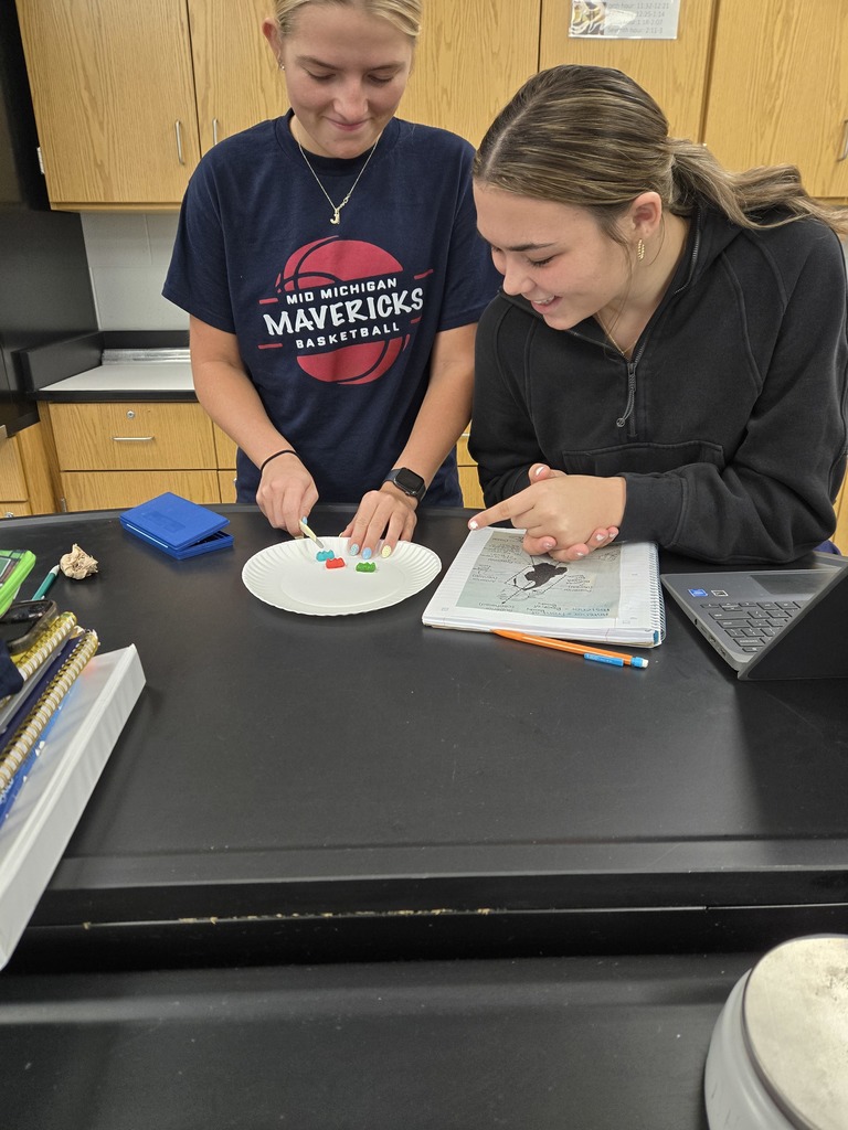 Anatomy Class Dissects Gummy Bears