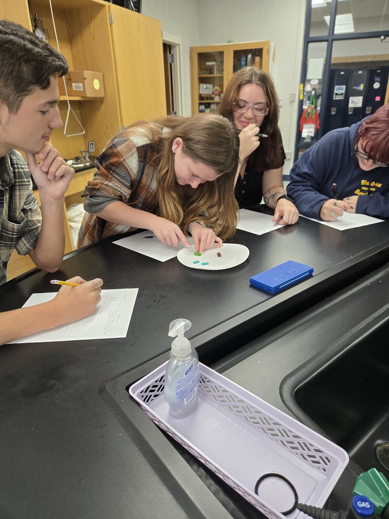 Anatomy Class Dissects Gummy Bears