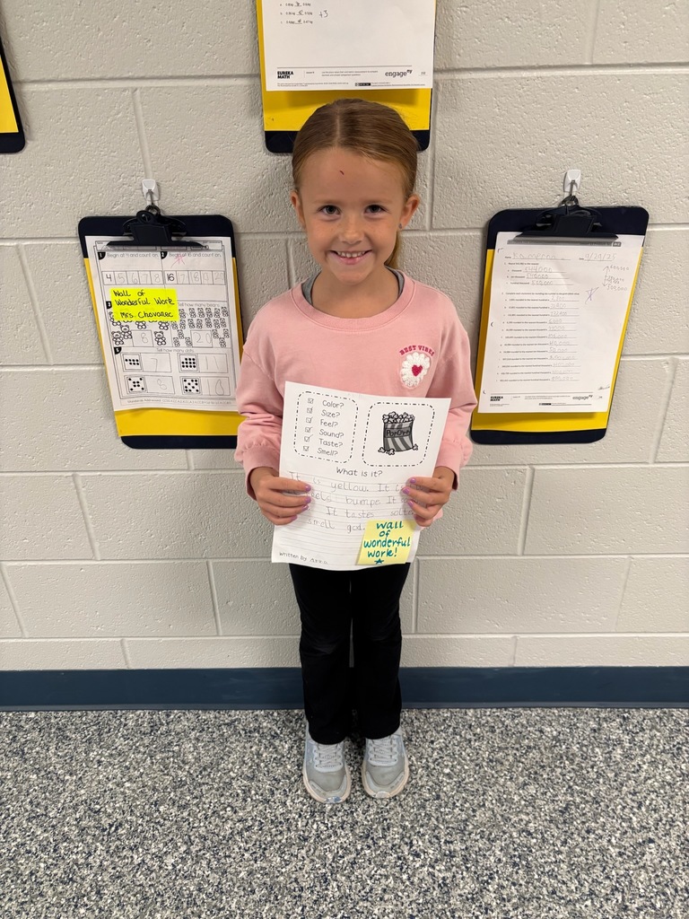 Wall of Wonderful work