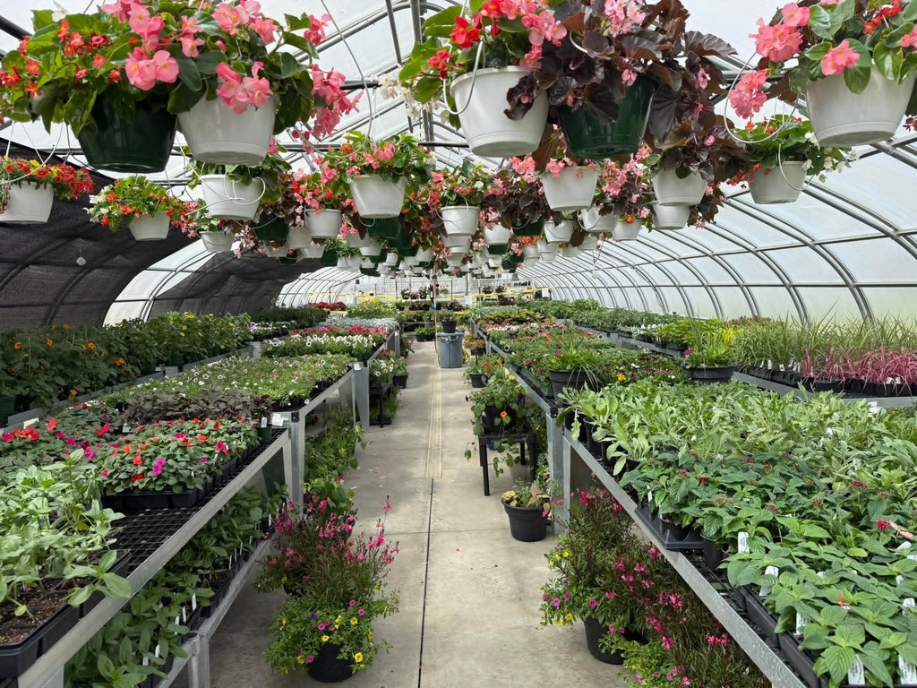 greenhouse