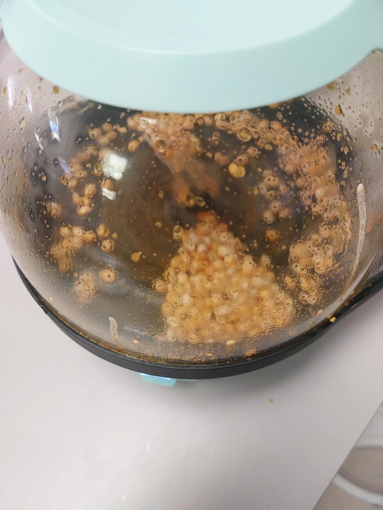 POPPER. OBSERVING HEAT CHANGE THE POPCORN