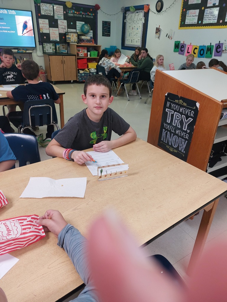 GERMINATION OBSERVATION