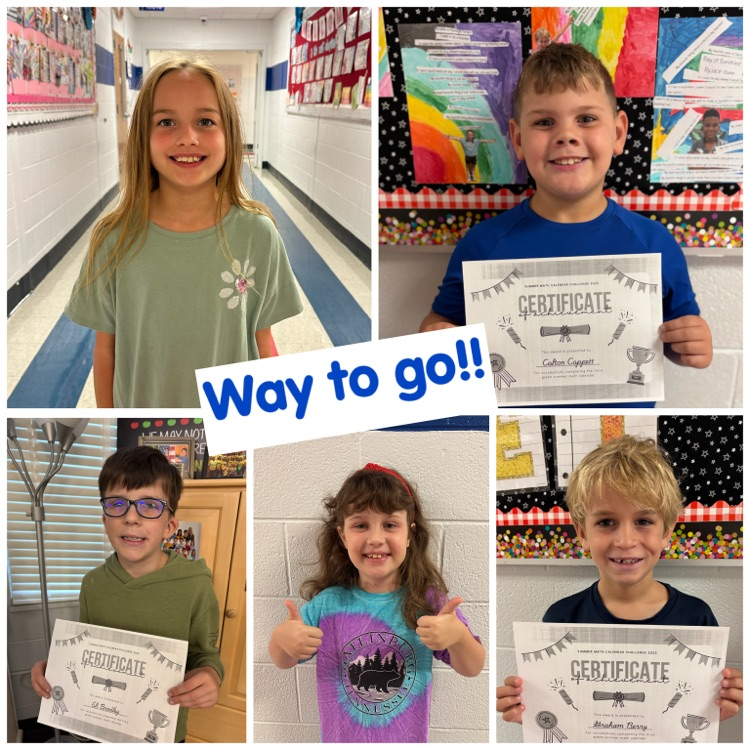 Summer Mathematicians 
