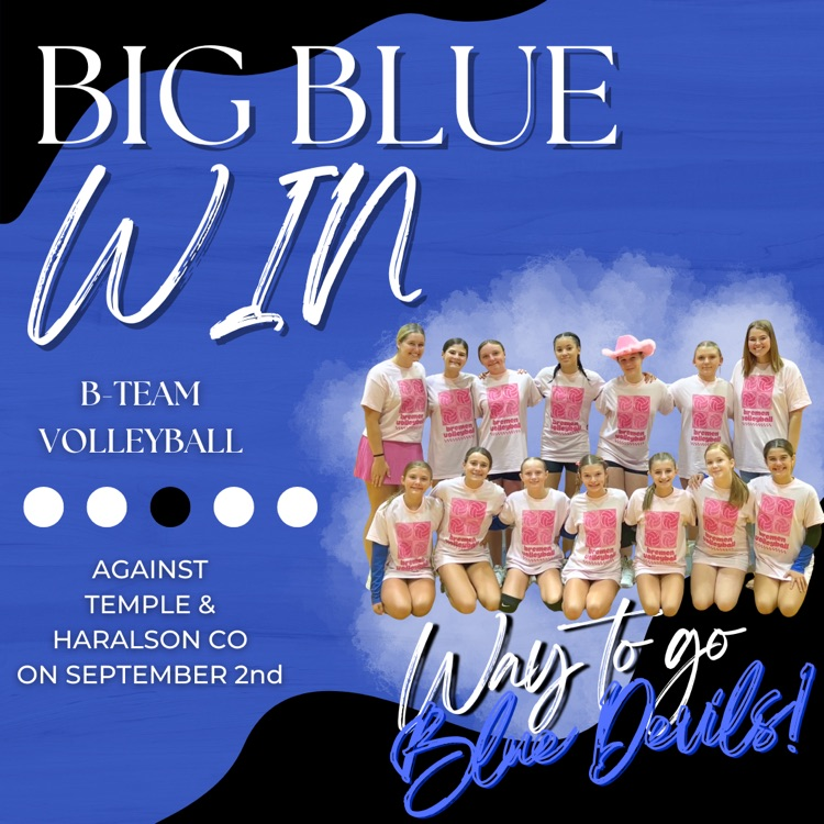 volleyball win