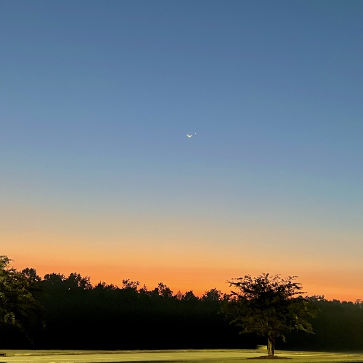 sunrise Venus