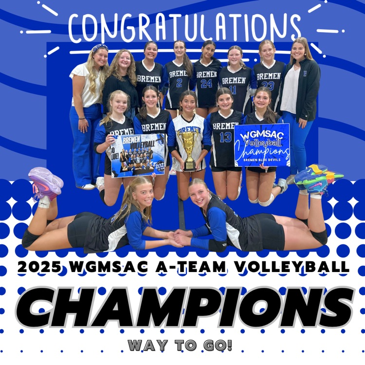 volleyball champions 