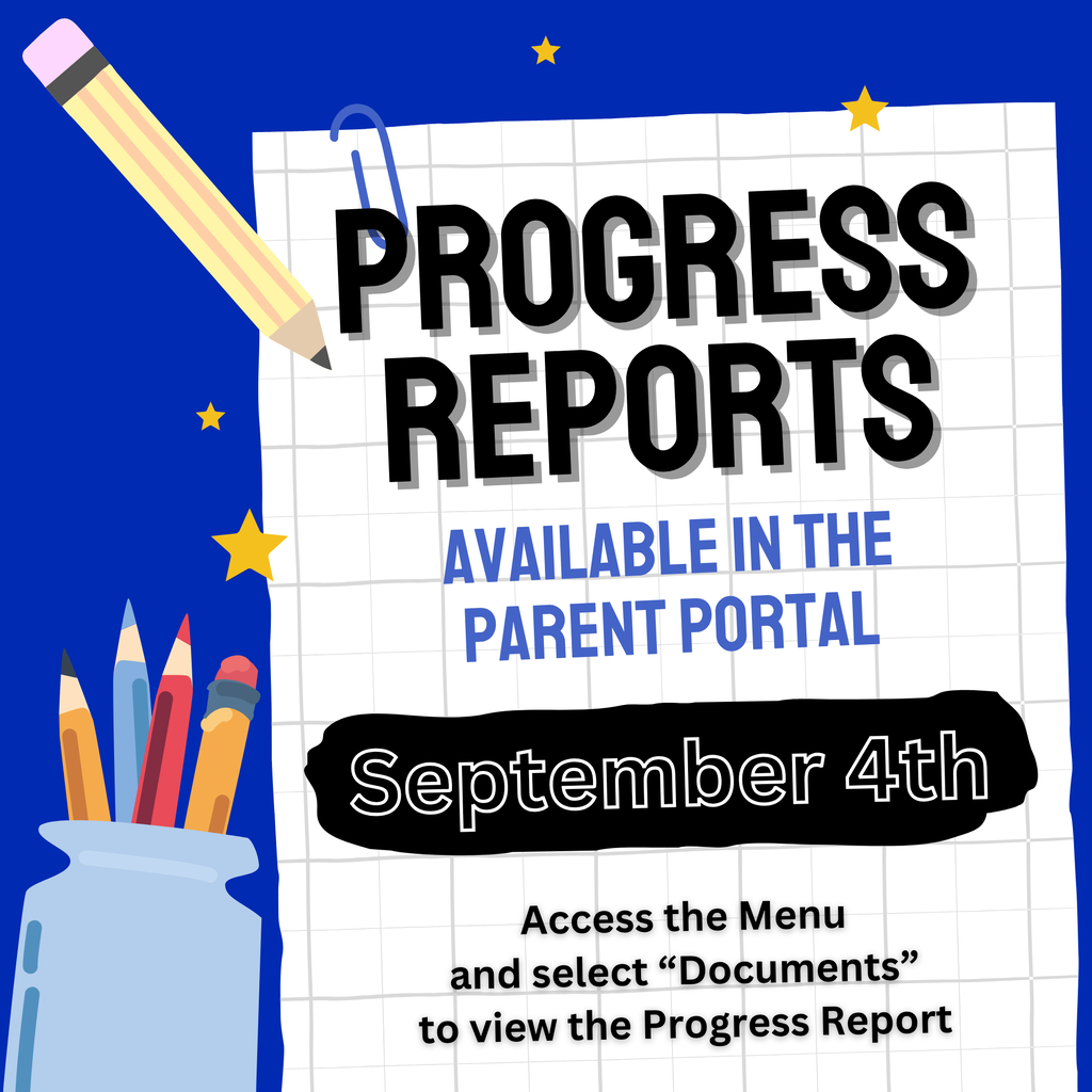 progress report