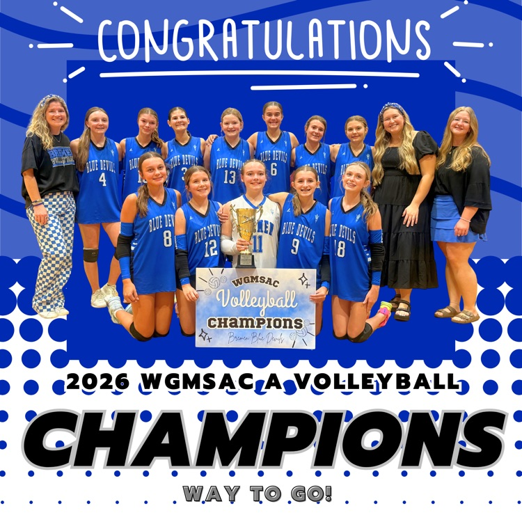 volleyball champs