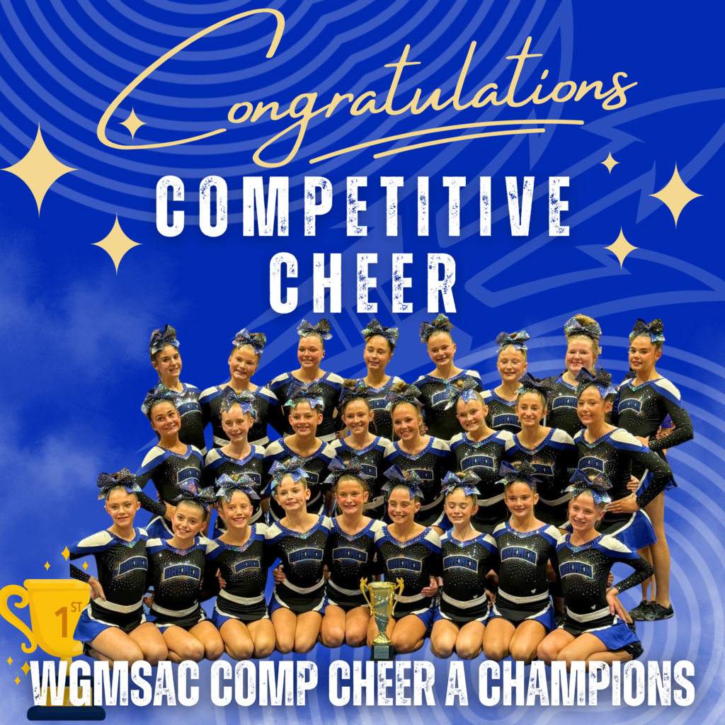 comp cheer champions