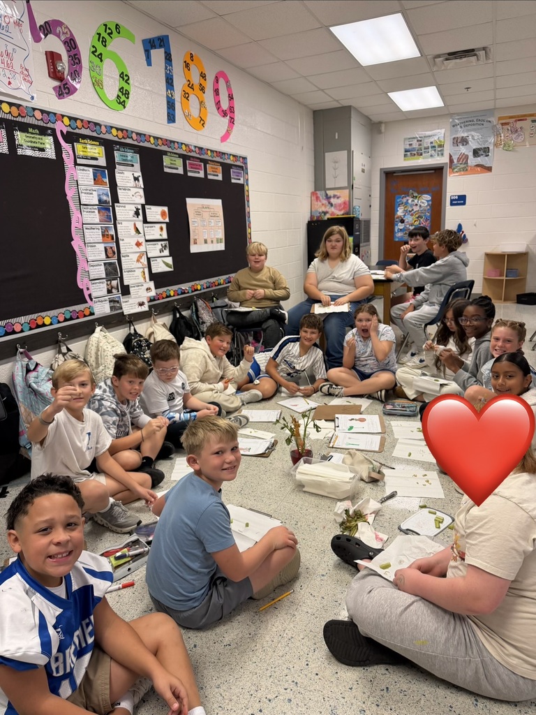 bowling plant dissection