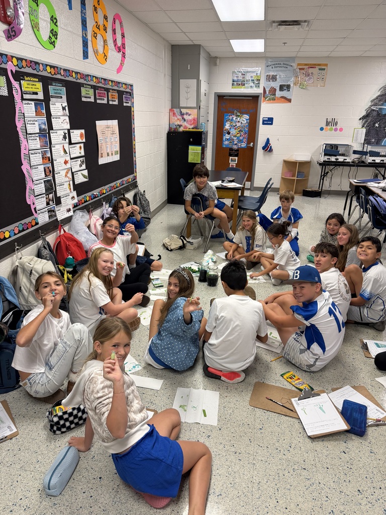 bowling plant dissection