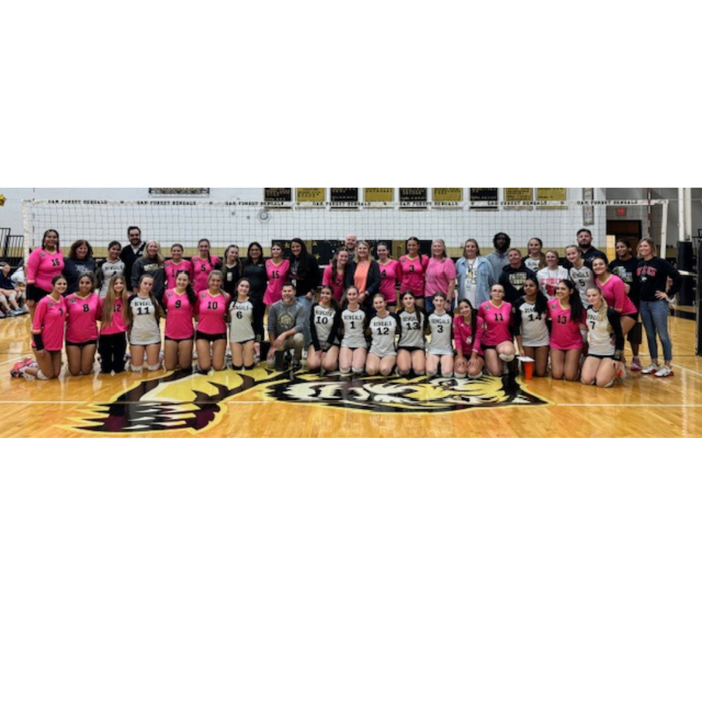 vball 