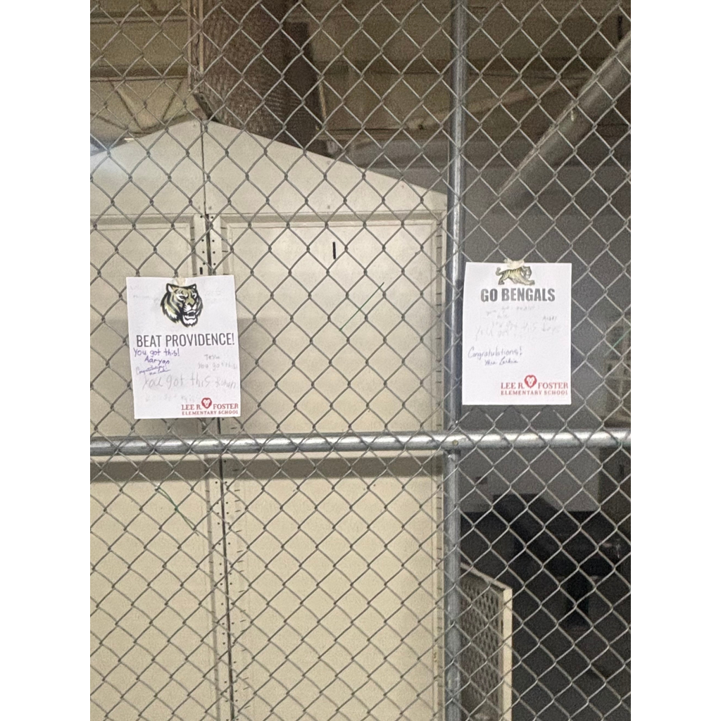 Foster Lions support