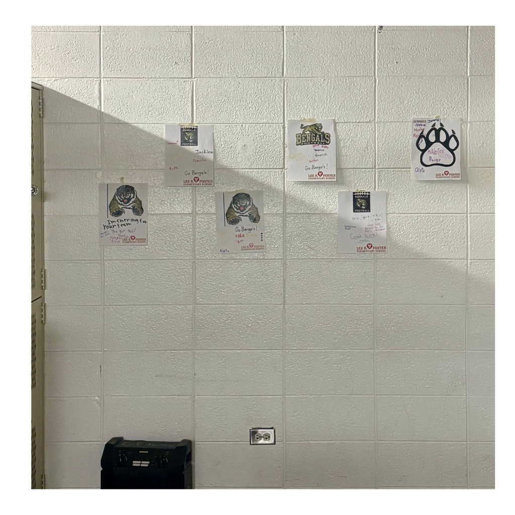 Foster Lions support