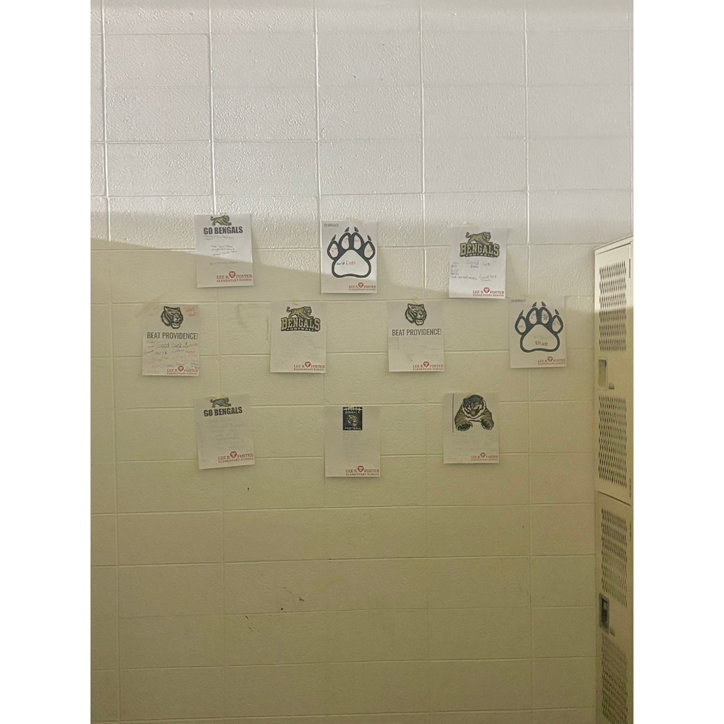 Foster Lions support