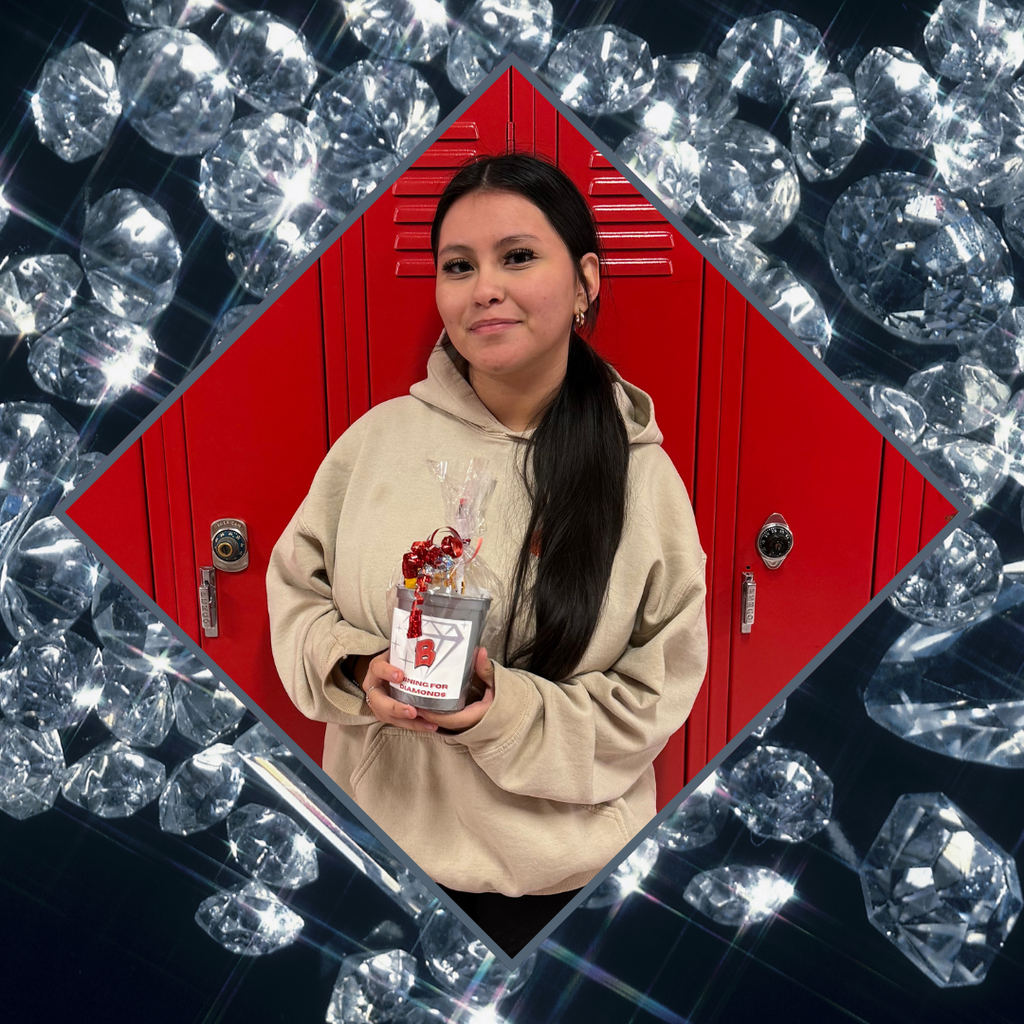 Deans Mining for Diamonds in BHS 