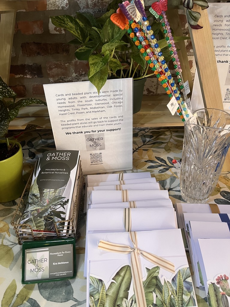 Gather & Moss and EXCEL Collaboration 