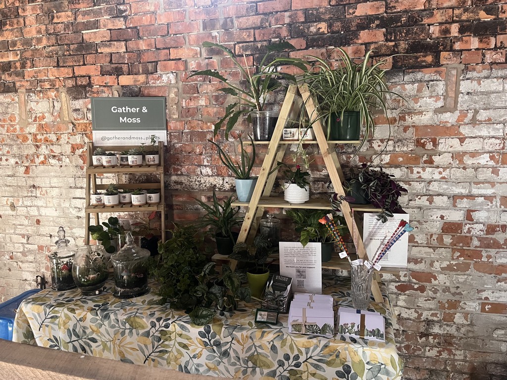 Gather & Moss and EXCEL Collaboration 