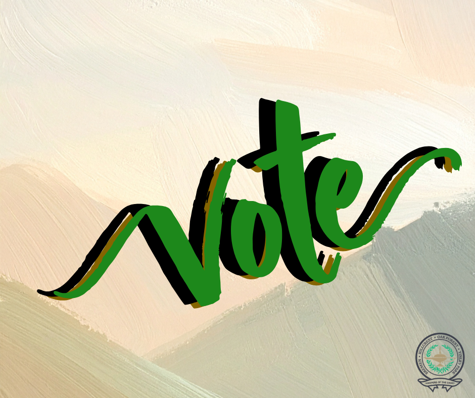 graphic saying vote with the district logo and neutral background