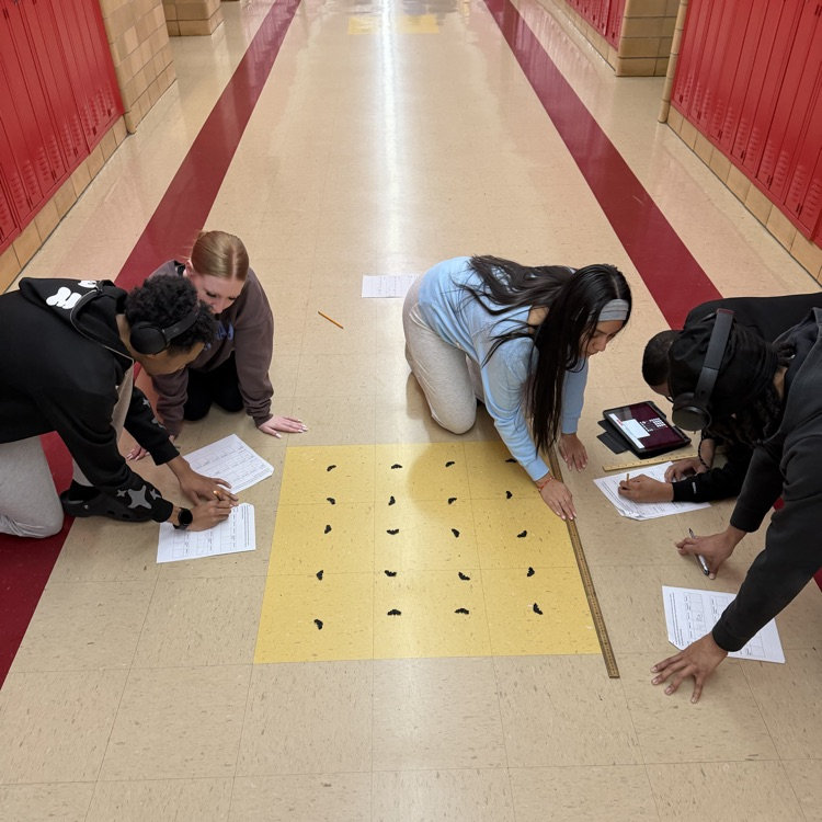 Mrs. Wittman’s Environmental students were busy practicing field techniques while measuring population and population density! #TPTitanNation
