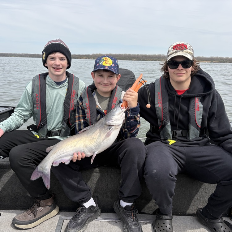 fish
