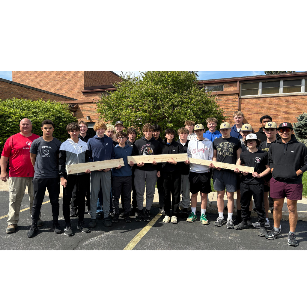 baseball team building beds