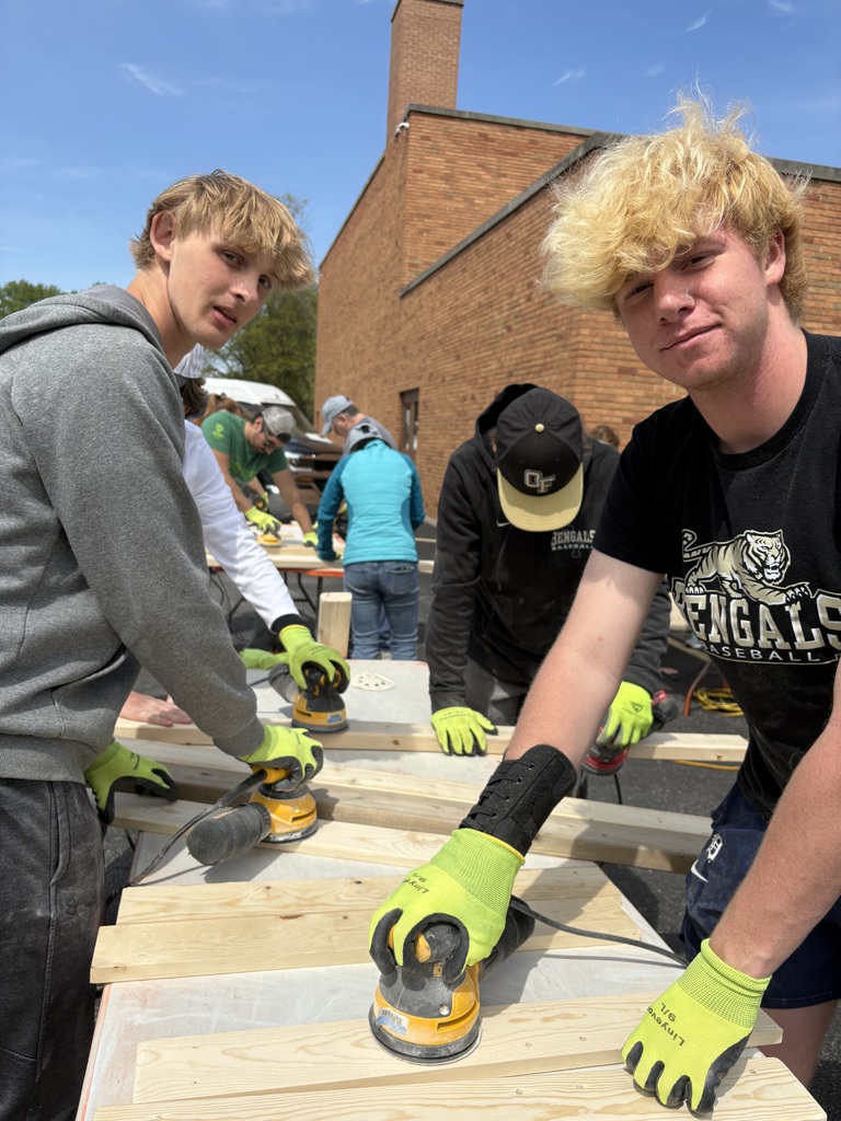 baseball building beds