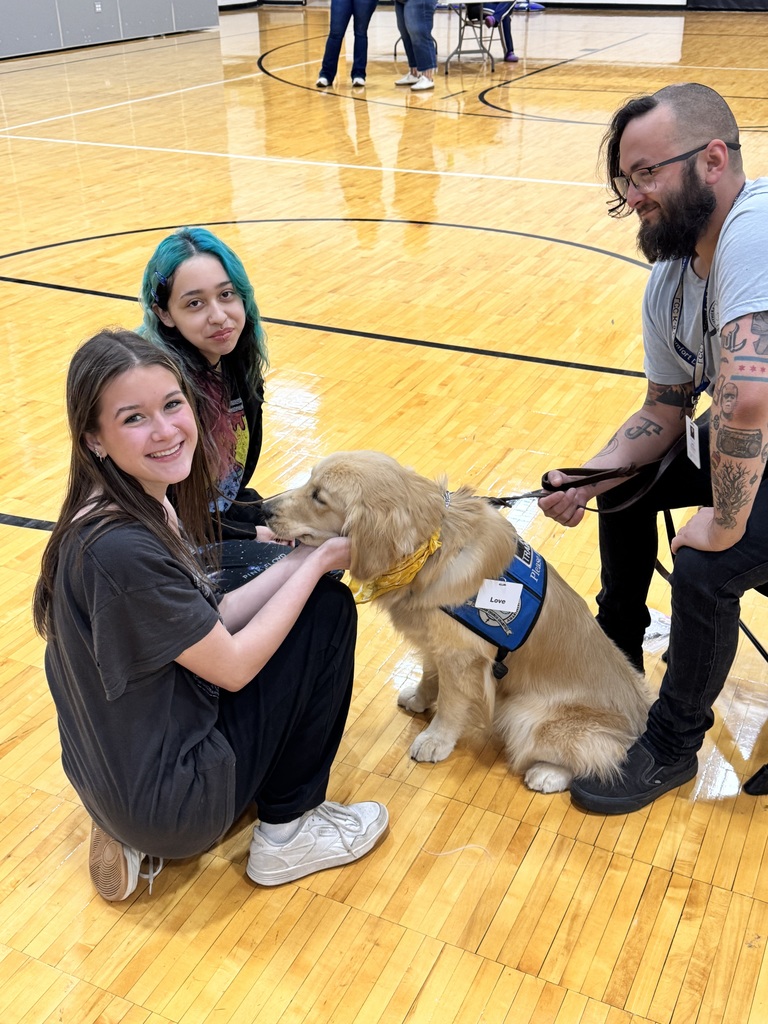 therapy dogs