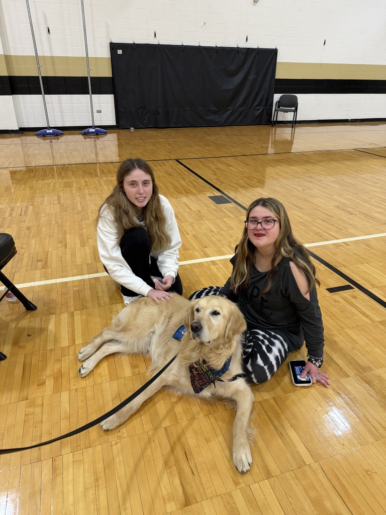 therapy dogs