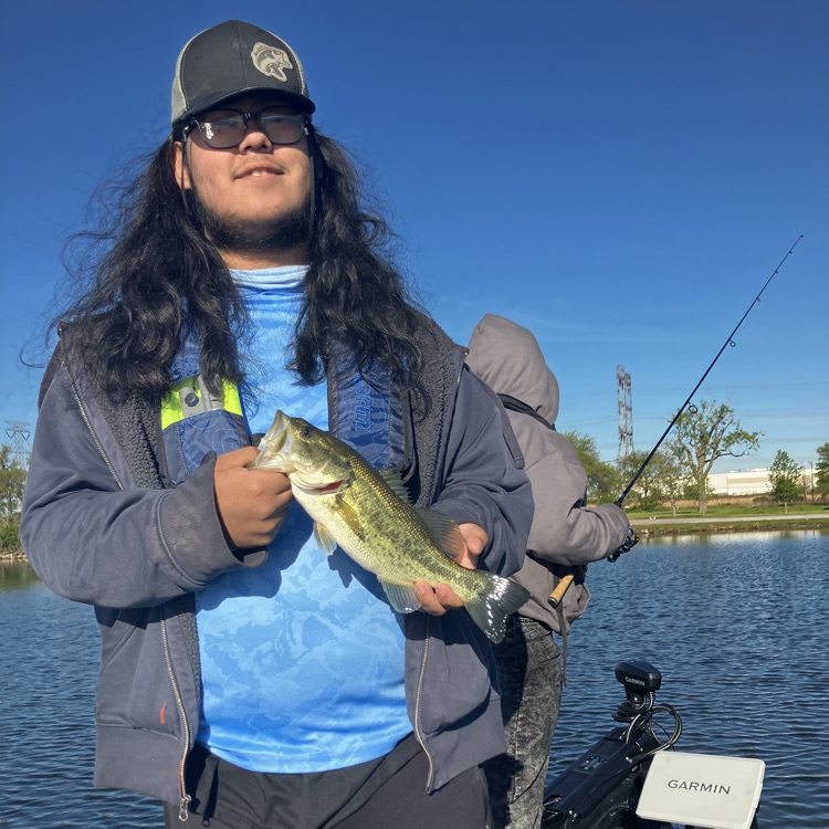 bass 
