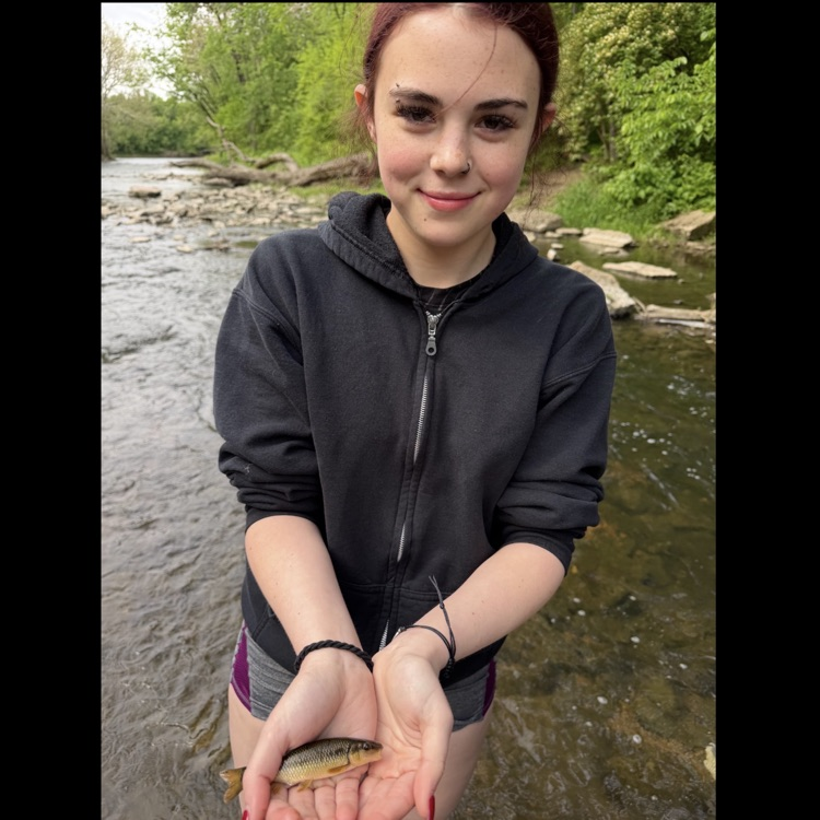 trout