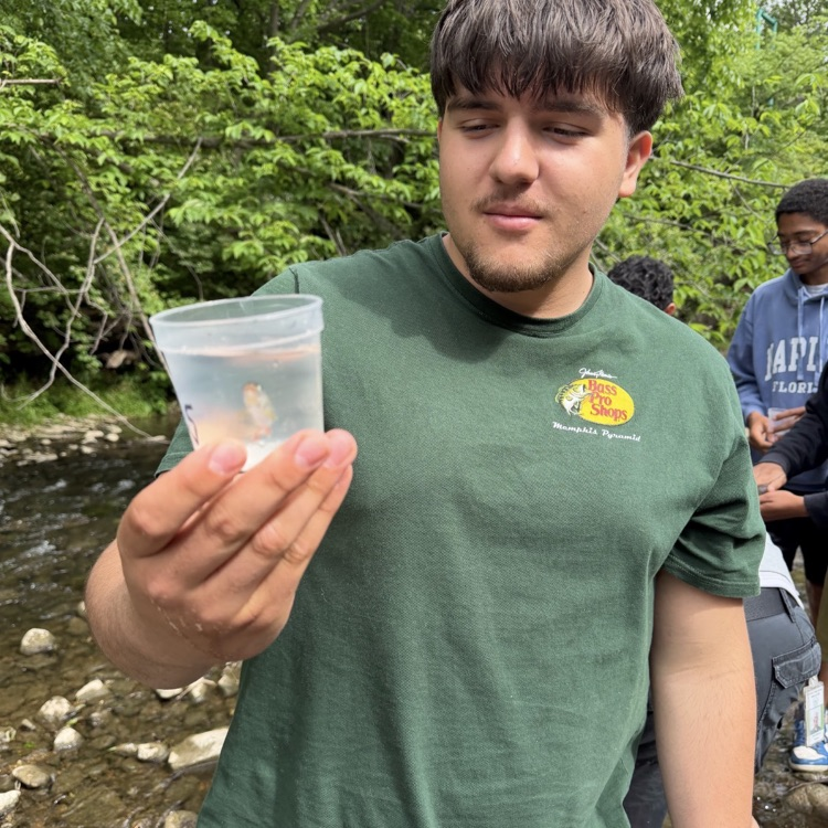 trout