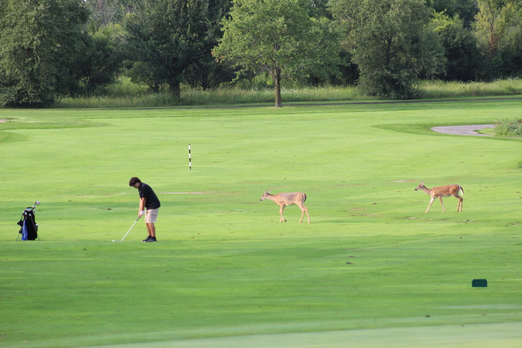 boys golf