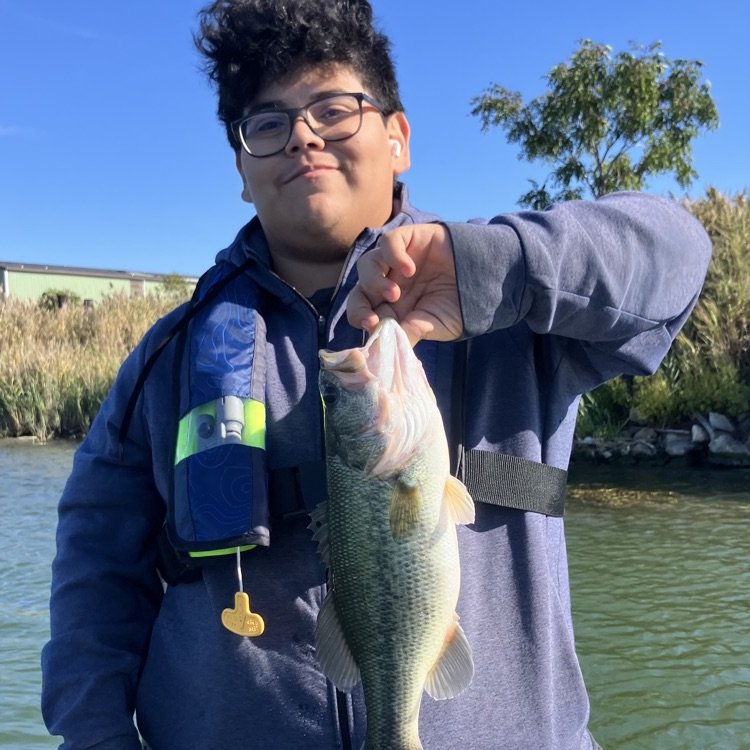 bass fishing 