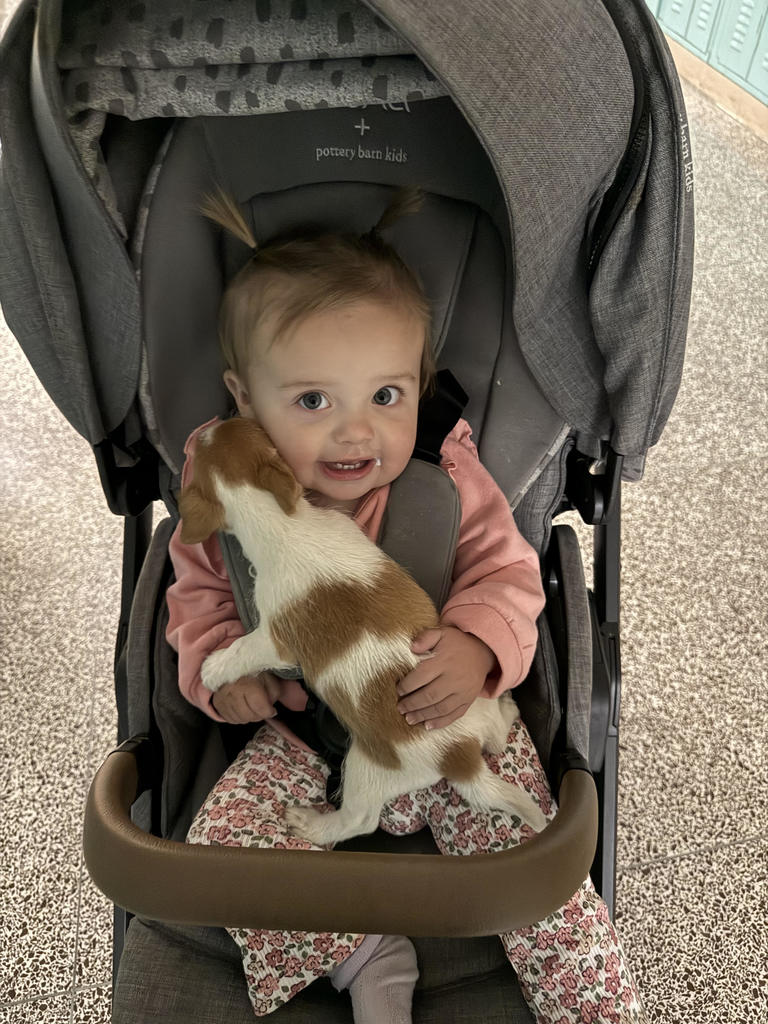 baby holding puppy