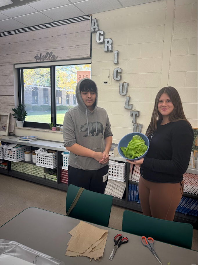 lettuce and students